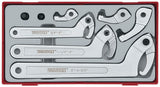 Hook and Pin Wrench Set (Teng Tools) - TTHP08